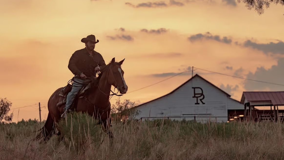 Le final de "Dutton Ranch" vous a laissé KO ? Ces 3 séries prennent le relais