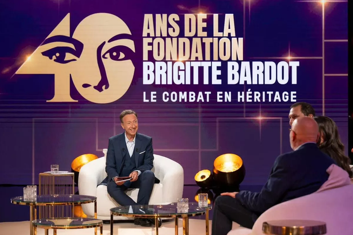 Brigitte Bardot : France 3 bouleverse sa soirée pour lui rendre hommage avec Stéphane Bern