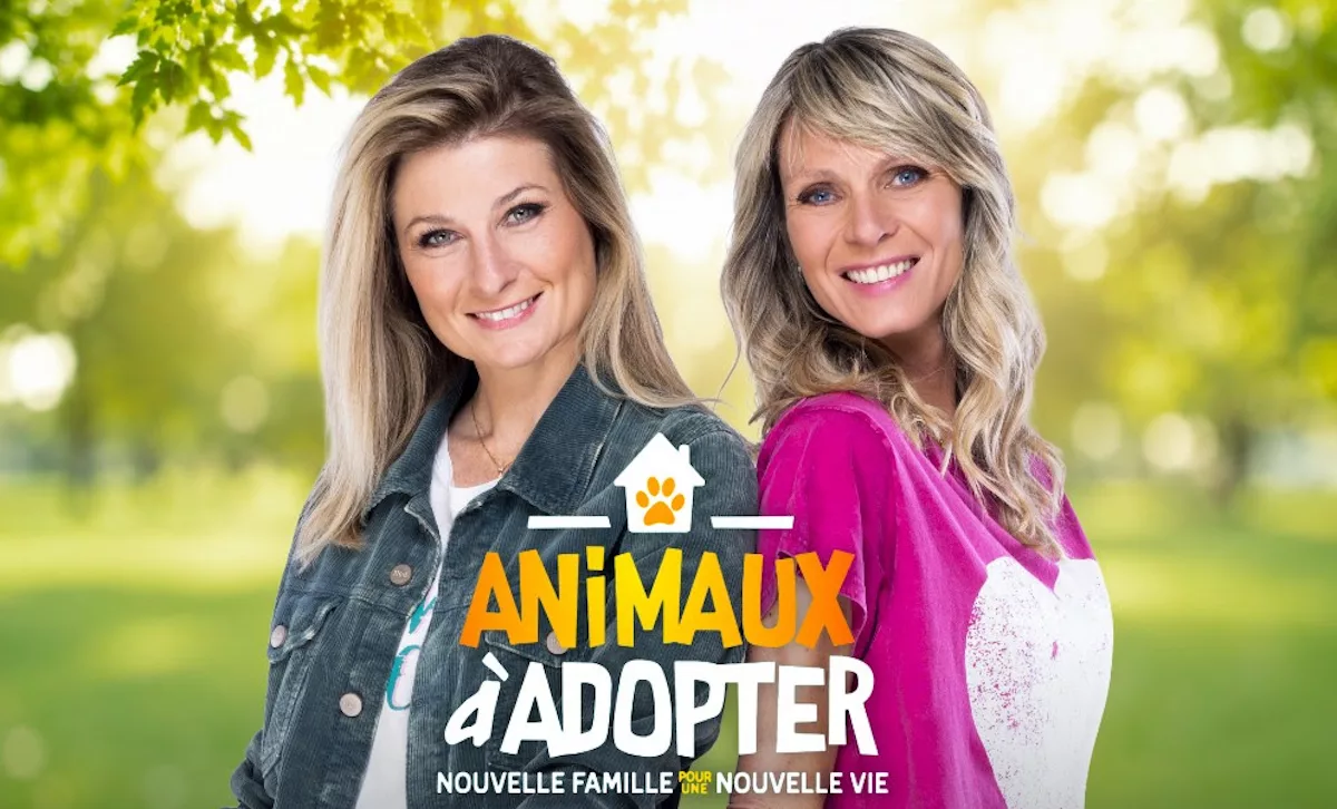 « Animaux à adopter » : Tarek Boudali donne le coup d’envoi de la nouvelle saison sur TMC